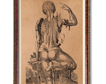 Ilustración de anatomía del cuerpo humano, decoración de pared médica antigua, impresión artística científica vintage, póster de anatomía rústica, decoración académica