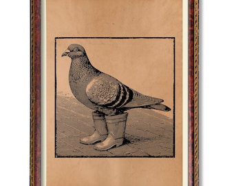 Pigeon in Boots Poster – Vintage Bird Illustration, Rustic Animal Wall Art, Antique Funny Pigeon Decor Print