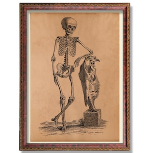 Rustic Skeleton Wall Art - Vintage Anatomy Illustration - Antique Medical Decor - Human Skeleton Poster - Gothic Science Decoration