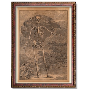 Anatomical Human Skeleton Art - Vintage Medical Illustration - Antique Anatomy Wall Poster - Rustic Science Decor Skeletal System Decoration