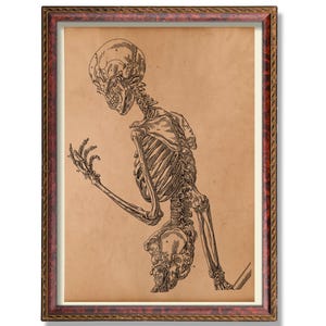 Human Skeleton Anatomy Wall Art Vintage Medical Skeleton Poster Rustic Anatomical Illustration Antique Skeleton Chart Gothic Science Decor