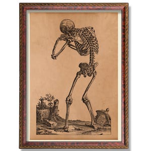 Anatomical Skeleton Poster - Vintage Medical Illustration - Antique Anatomy Wall Art - Rustic Human Skeleton Decor - Scientific Decoration