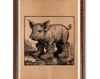 1922年 豚の解剖学、イエブ科、獣医用図版、古いイラスト、ラルース