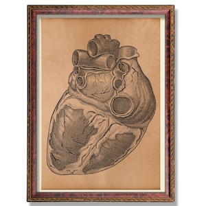 Human Heart Anatomy Illustration – Vintage Medical Poster – Rustic Anatomical Wall Art – Antique Science Decor – Gothic Heart Chart Print