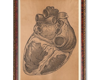Human Heart Anatomy Illustration – Vintage Medical Poster – Rustic Anatomical Wall Art – Antique Science Decor – Gothic Heart Chart Print