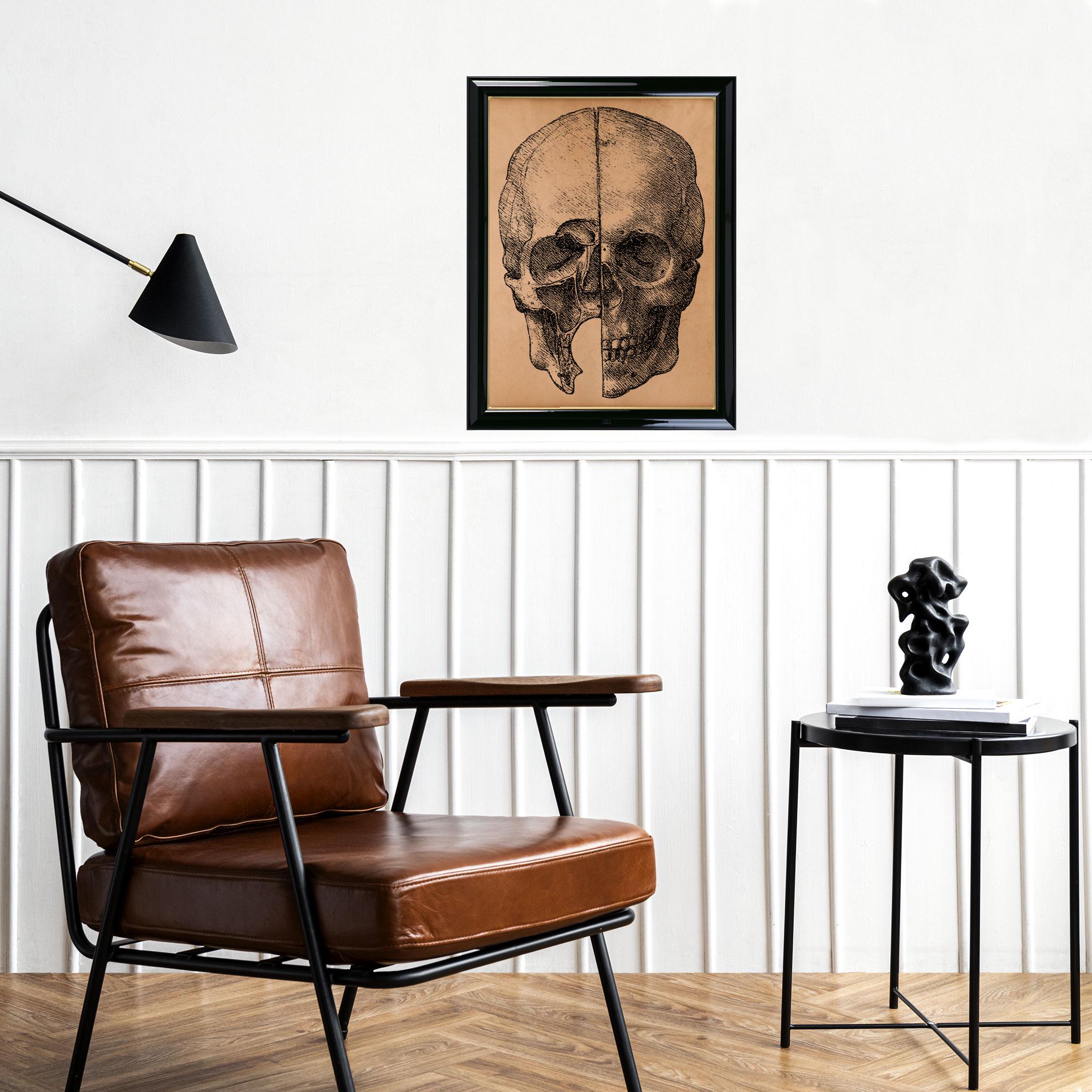 Skull Anatomy Poster – Vintage Medical Illustration – Rustic Human ...