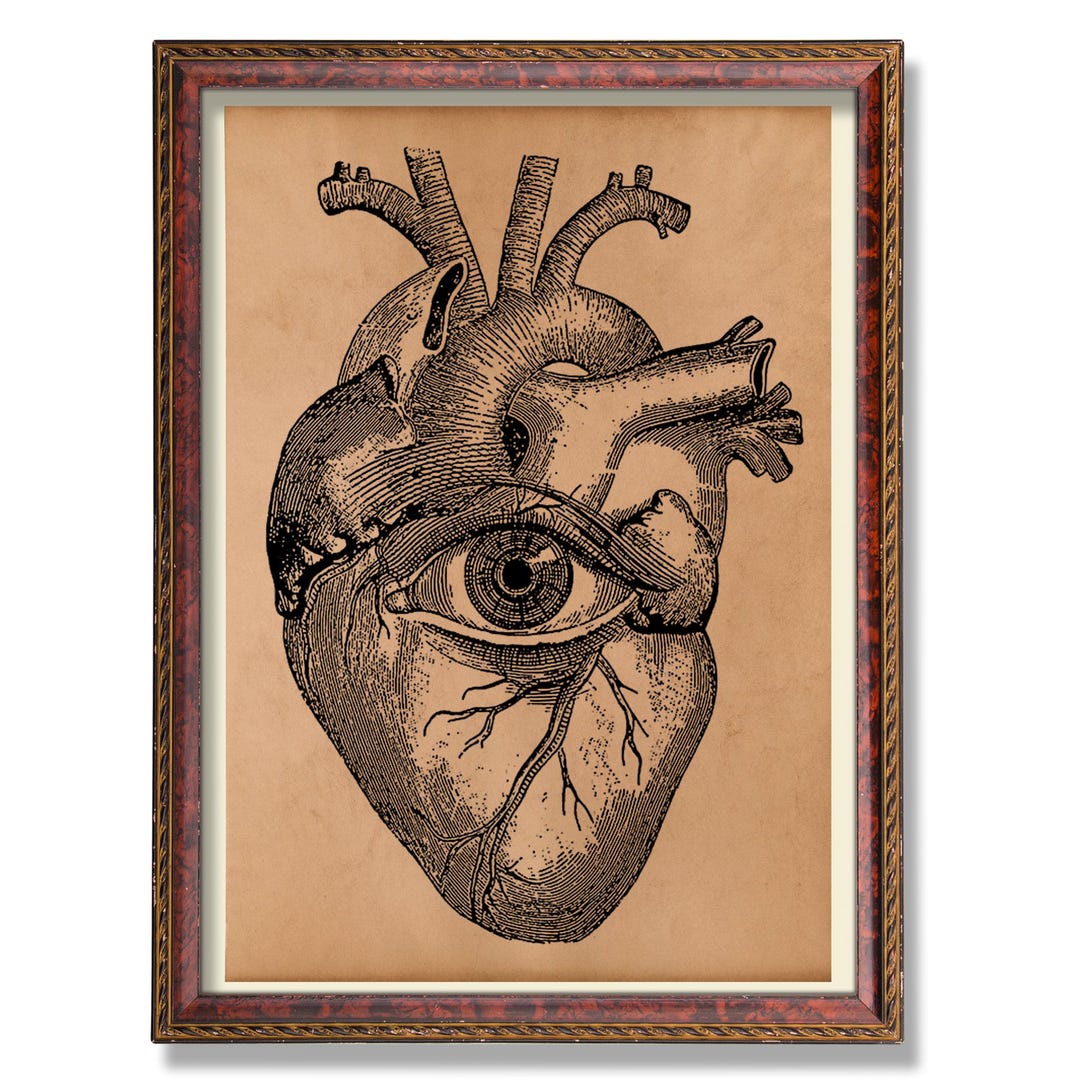 Anatomical Heart Wall Art – Medical Heart Illustration – Dark Academia ...