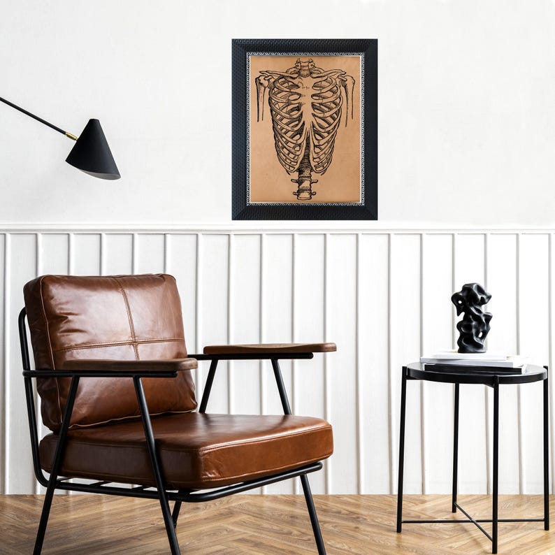 Human Ribcage Anatomy Poster – Vintage Medical Illustration – Antique ...