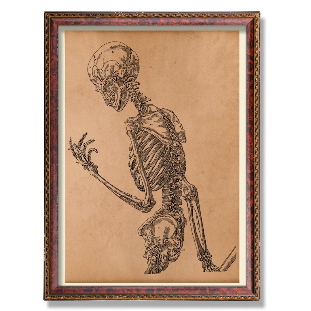 Human Skeleton Anatomy Wall Art Vintage Medical Skeleton Poster Rustic ...