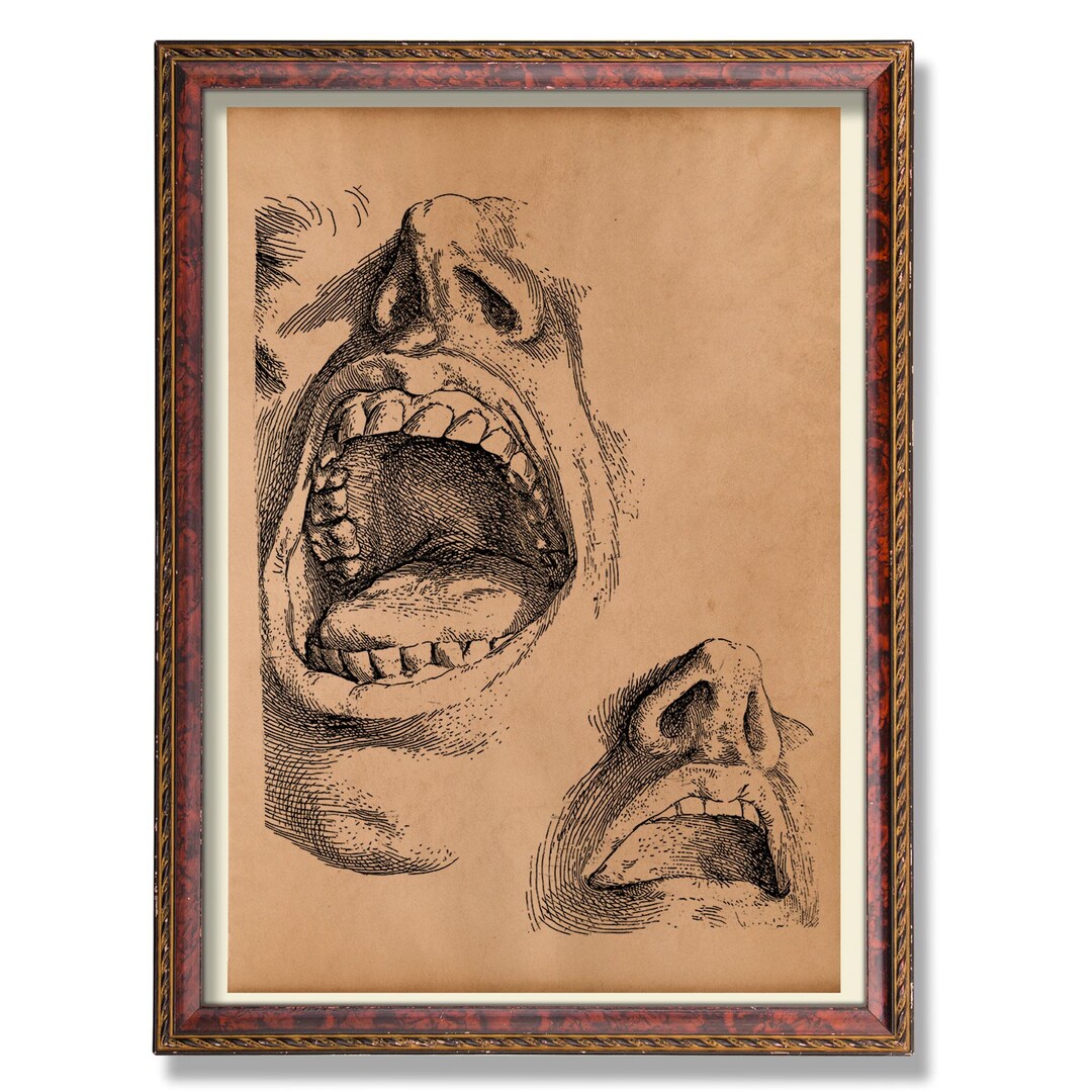 Human Mouth Anatomy Poster – Vintage Medical Dental Illustration ...
