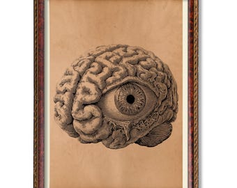 Cerebro anatómico con ojo: póster de ilustración médica vintage, decoración rústica de pared anatómica, obra de arte científico antigua