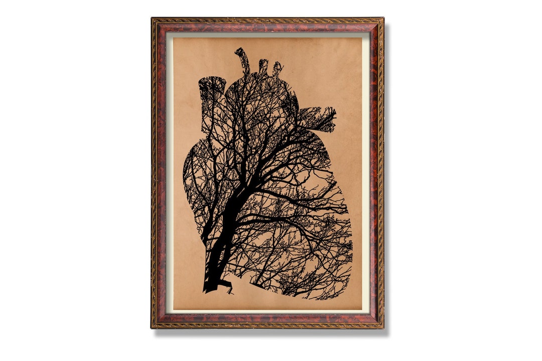 Heart Anatomy Decor Anatomy Art Antique Medical Anatomy Poster - Etsy