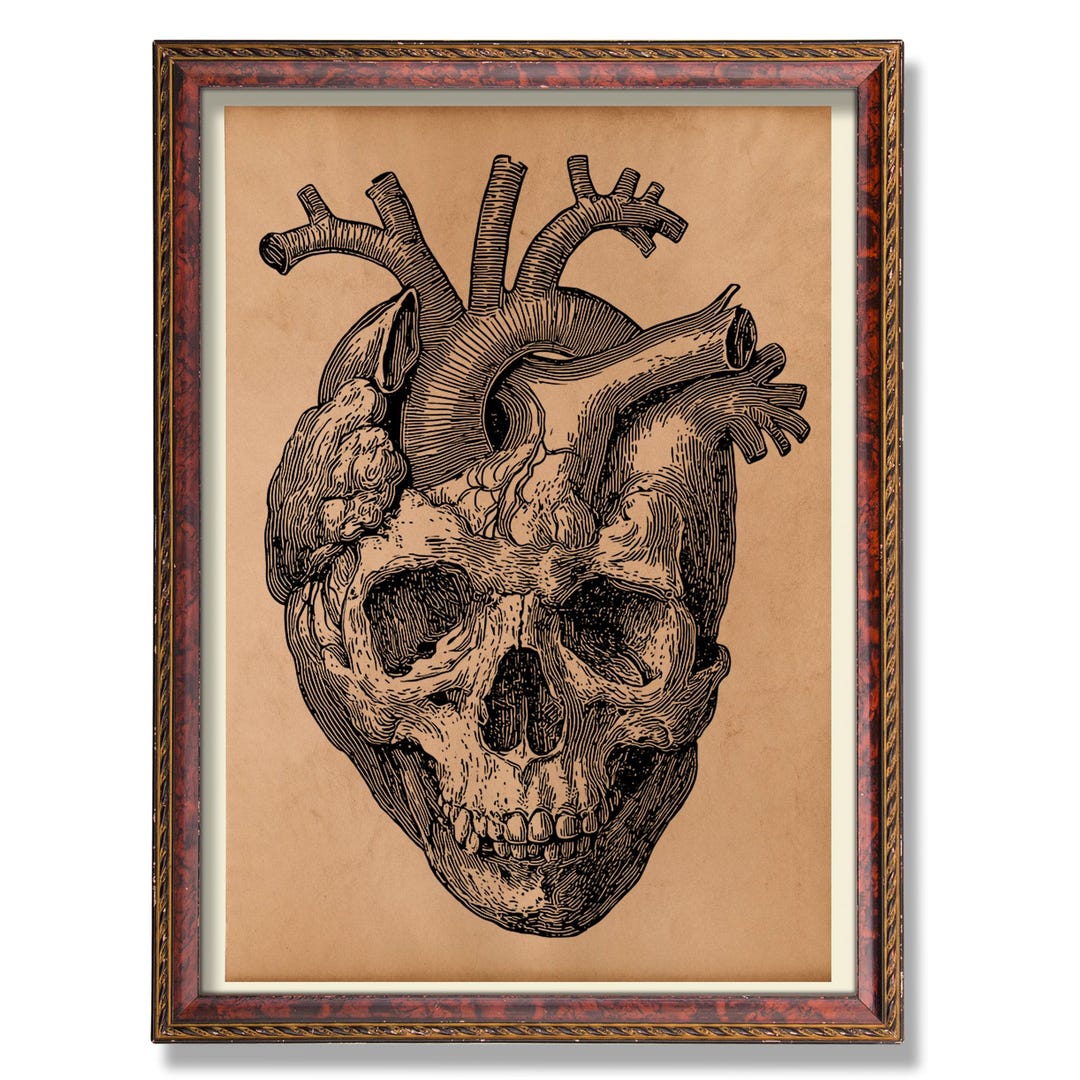 Vintage Heart and Skull Anatomy Poster – Antique Medical Illustration ...