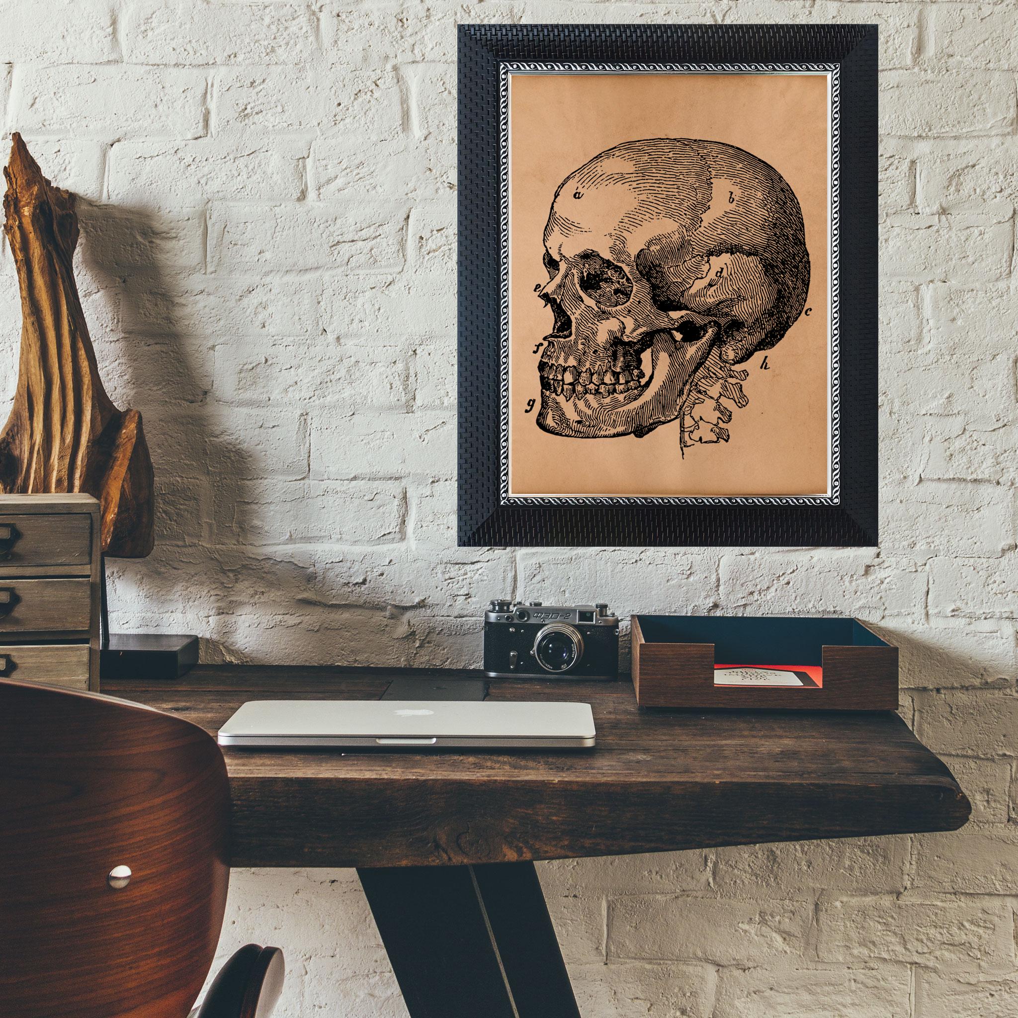 Human Skull Anatomy Chart – Vintage Medical Illustration – Antique 