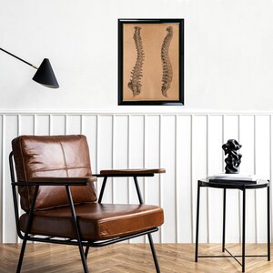 Human Spine Anatomy Illustration Vintage Medical Poster Rustic ...