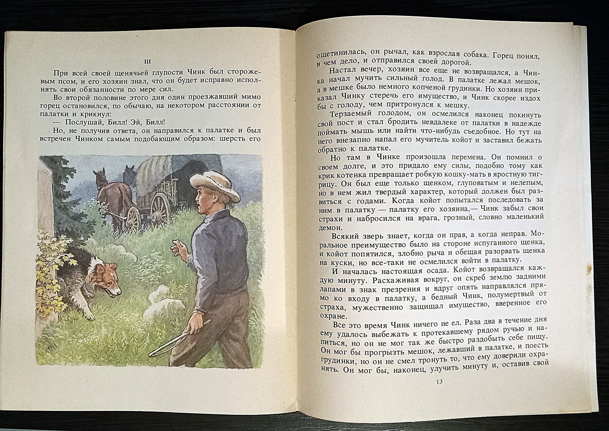 Ernest Thompson Seton. Chink / Эрнест Сетон-Томпсон. Чинк. Children's ...