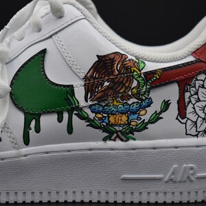 air force 1 mexico flag