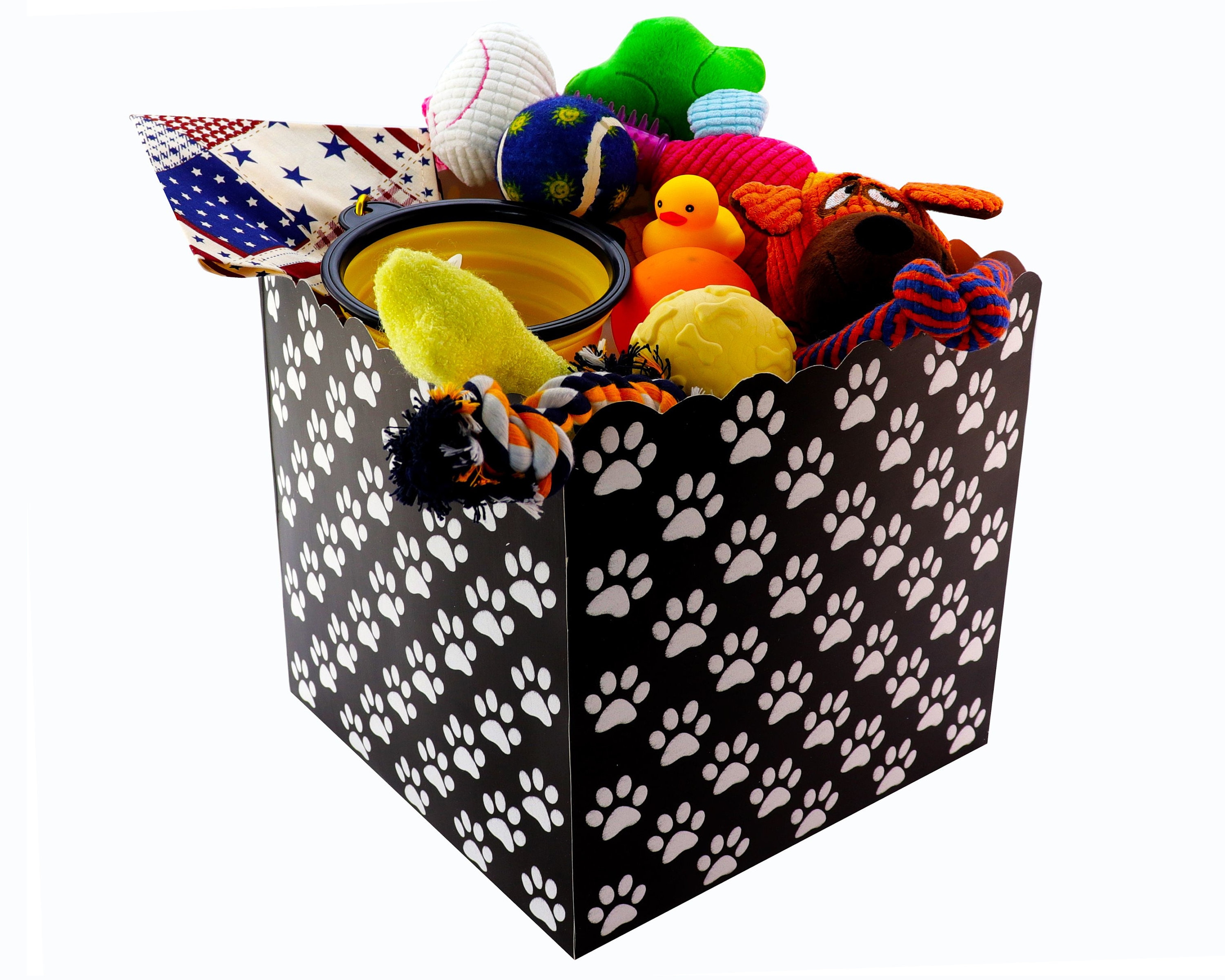 Dog Toy Box Interactive Doggy Puppy Teething Chew Toys 11 Etsy