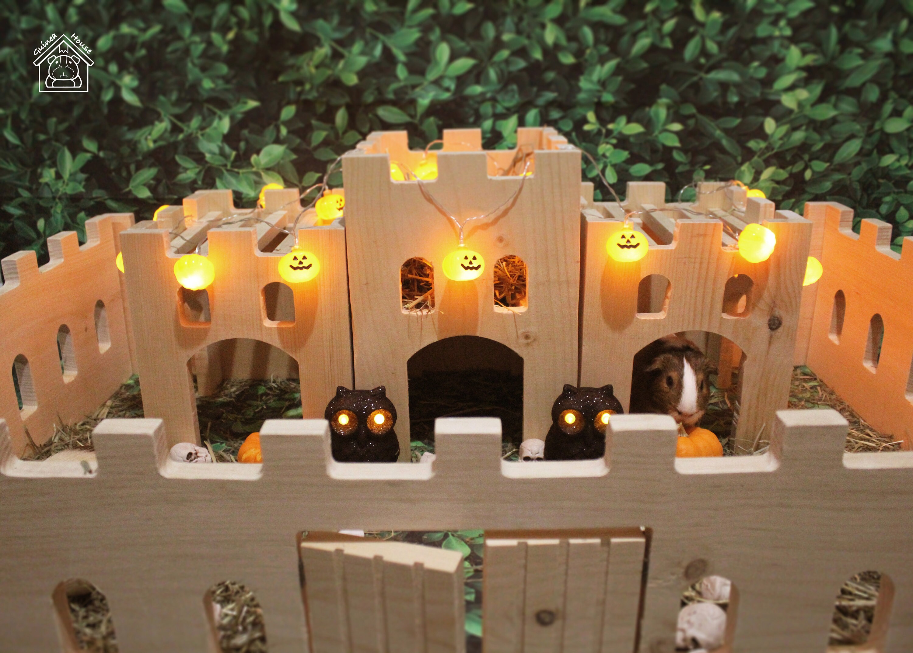 Castillo de Conejo de Madera/Guinea Pig Premium | Etsy