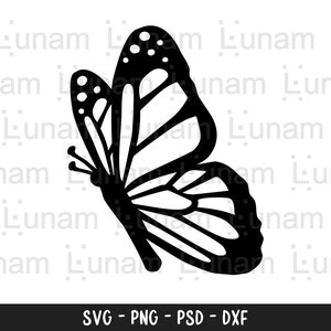 Schmetterling SVG, Schmetterling SVG-Datei, geschichteten Schmetterling SVG, Schmetterling Svg für Cricut, Schmetterling Clipart, Schmetterlinge Svg, Schmetterling geschnitten Datei
