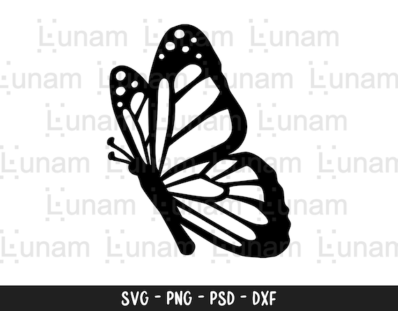 Butterfly SVG, Butterfly SVG File, Layered Butterfly SVG, Butterfly Svg for Cricut, Butterfly Clipart, Butterflies Svg, Butterfly Cut File