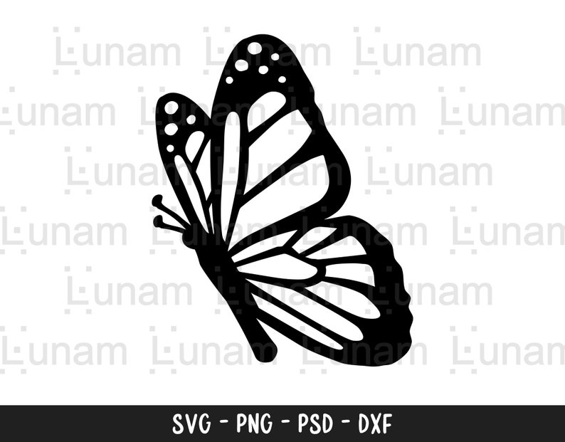 May include: A black silhouette of a butterfly with wings spread out. The butterfly has a detailed pattern on its wings.
