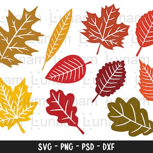 Feuilles d'automne Svg, svg d'automne, lot de svg feuille d'automne, automne png, dxf, clipart, fichiers coupés pour Cricut, fichiers Glowforge, Silhouette, svg Halloween