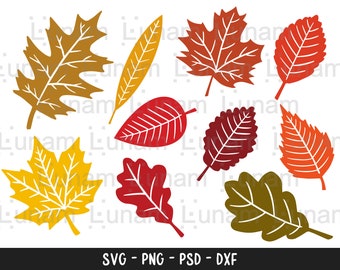 Fall Leaves Svg, Fall svg, Fall leaf svg bundle, Fall png, dxf, clipart, Cut files for Cricut, Glowforge files, Silhouette, Halloween svg