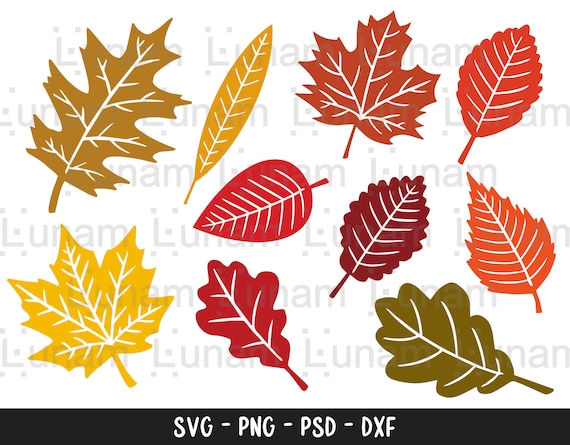 Fall Leaves Svg Fall Svg Fall Leaf Svg Bundle Fall Png - Etsy
