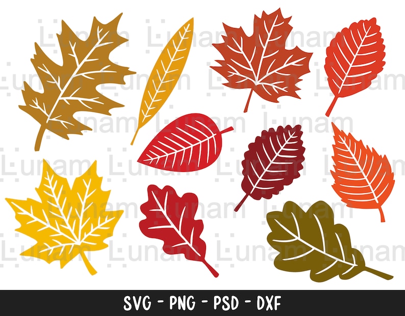 May include: A set of ten autumn leaf illustrations in various colors, including red, orange, yellow, and brown. The leaves are in a variety of shapes and sizes, and they are all outlined in white.