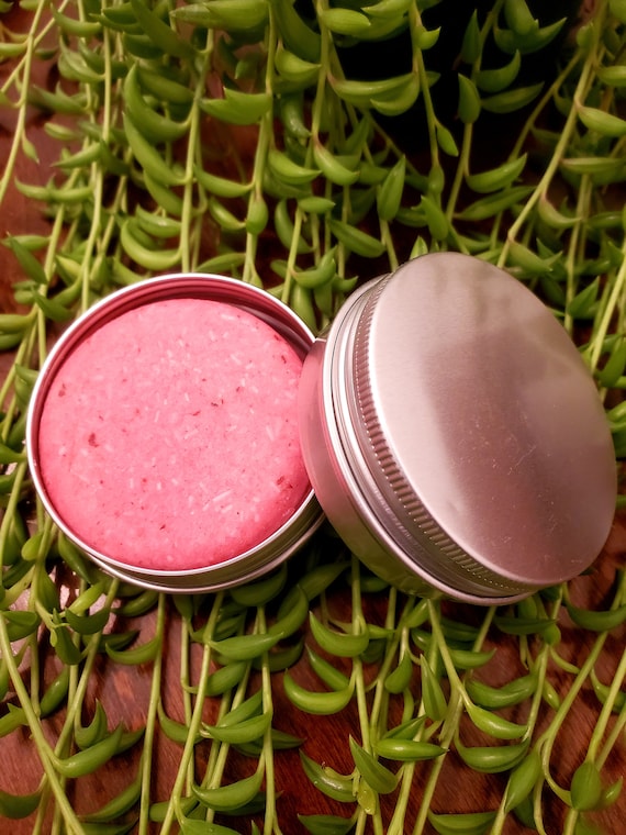 Shampoo Bar Travel Tin Ecofriendly Travel Tin Travel Case Etsy