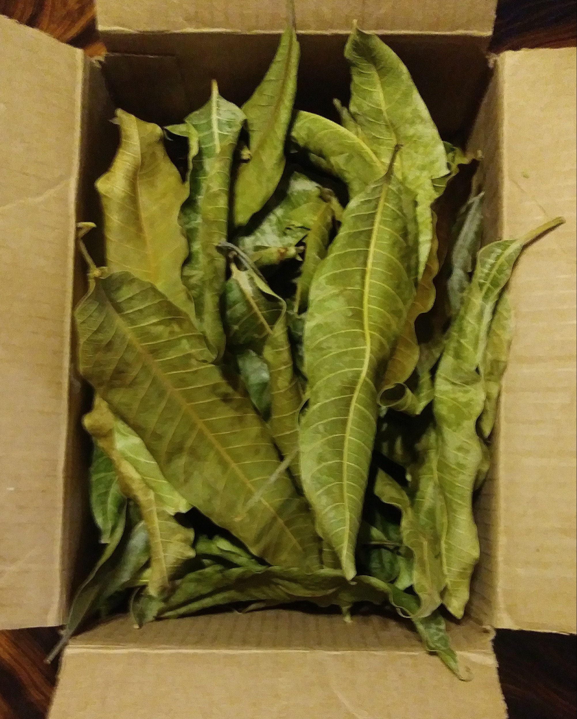 DRIED MANGO leaves. 100 organic. Herbal Tea. Non GMO. 2 oz. Etsy