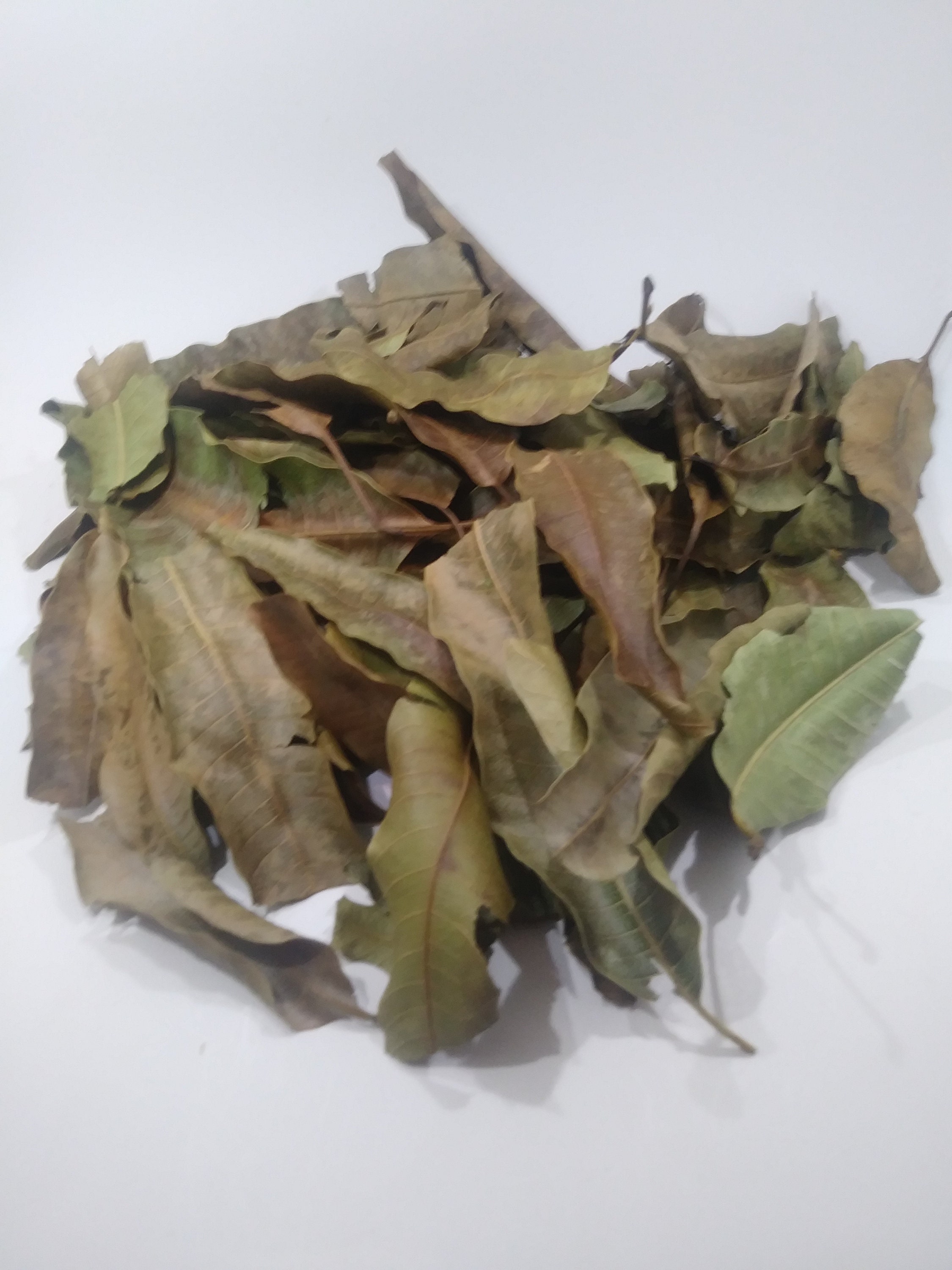 DRIED MANGO leaves. 100 organic. Herbal Tea. Non GMO. 2 oz. Etsy