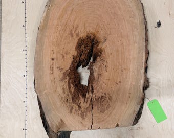 Może przedstawiać: Przekrój poprzeczny jasnobrązowego pnia drzewa z widocznymi słojami i ciemnobrązowym sękiem. Płyta drewniana ma naturalną krawędź i pęknięcie pośrodku. Do krawędzi przymocowana jest zielona etykieta.