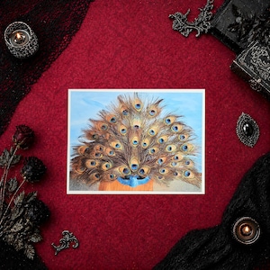 May include: A rectangular print featuring a vibrant peacock feather fan display with iridescent blue and gold eyes, set against a light blue background, with a solid orange base visible at the bottom of the feather arrangement.