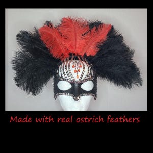 Ruby Feather Masquerade Mask, Gothic Wearable Art