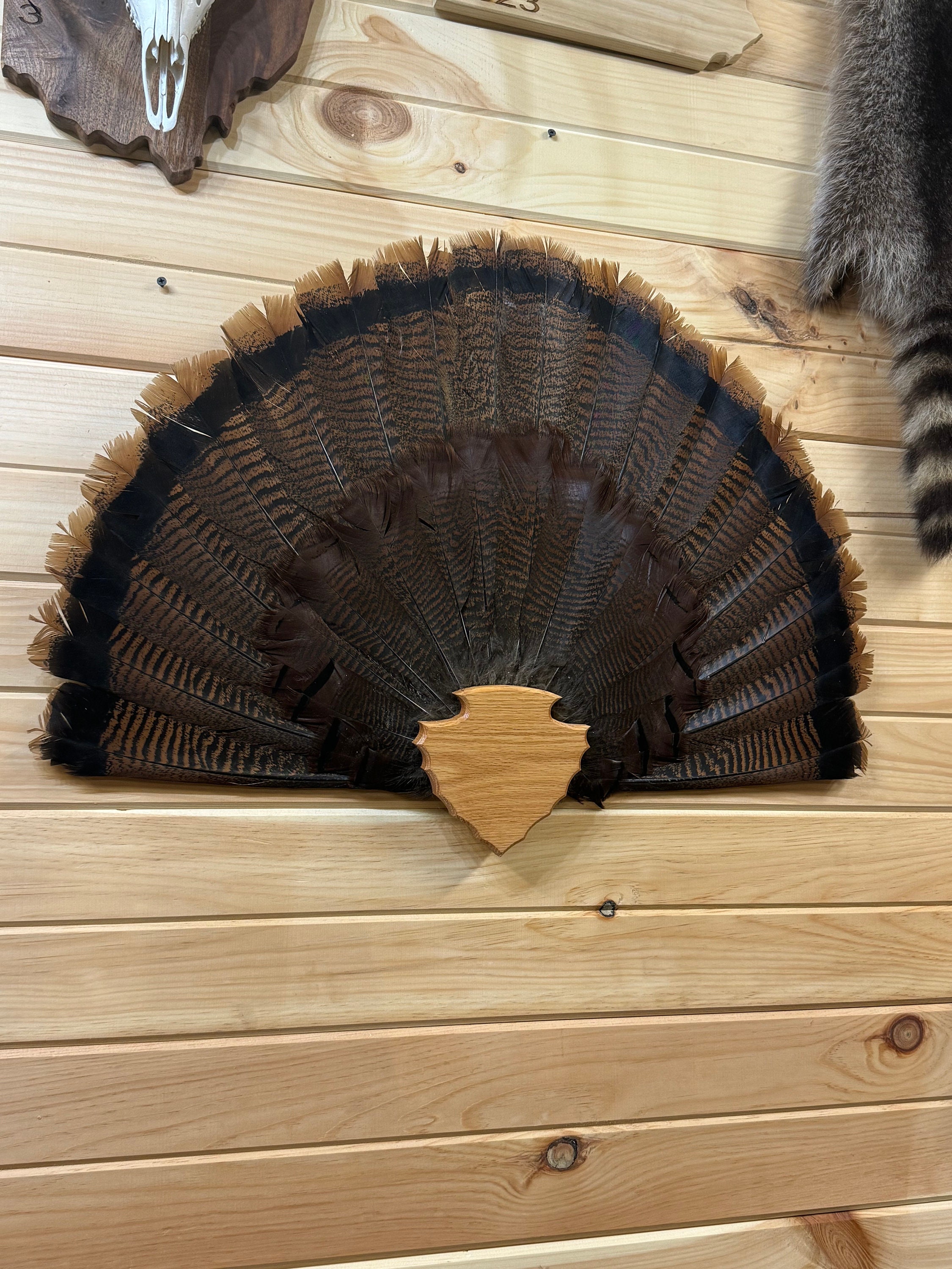 Turkey Tail Plaque Arrowhead