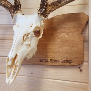 European Skull State Plaque Personalized year/date Hardwood European Plaques Wall Hanger Trophy Deer Hunting image 3