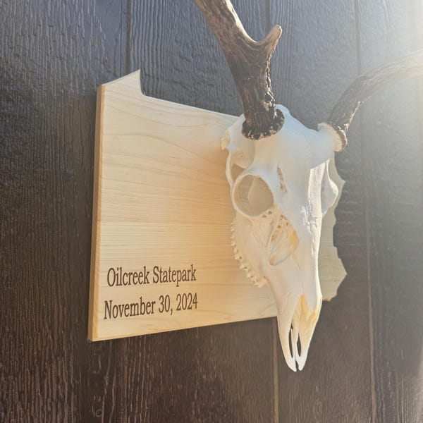 European Skull State Plaque - Personalized year/date - Hardwood - European Plaques- Wall Hanger - Trophy - Deer - Hunting