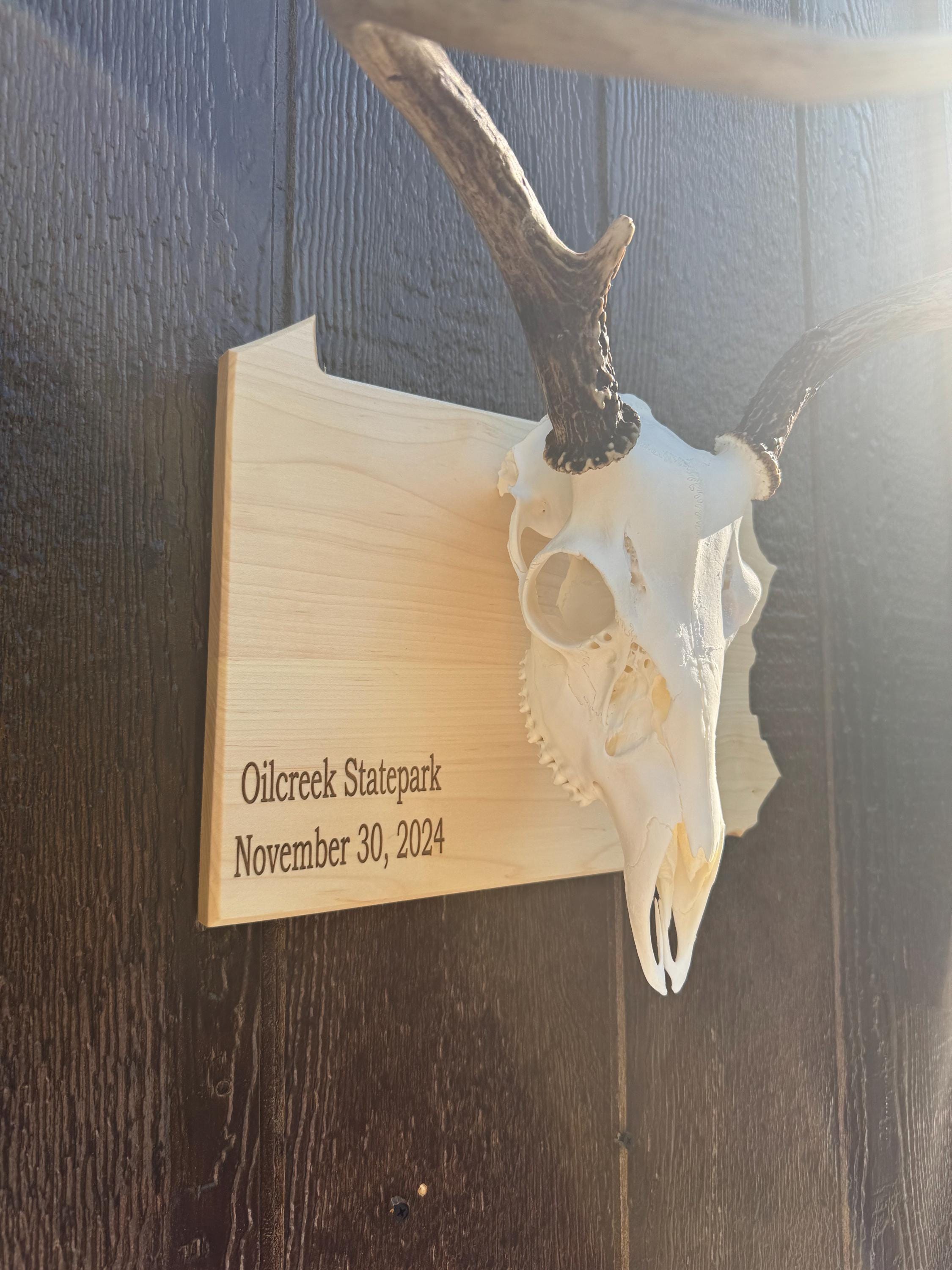European Skull State Plaque - Personalized Year/date - Hardwood