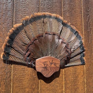 May include: A brown wooden turkey fan mount with two turkey tracks carved into the wood. The fan is made of brown and black feathers.