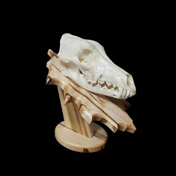 Pedestal Skull Mount Etsy