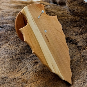 Hardwood European Skull Mount Pedestal: Trophy Display Plaque