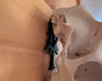 Skull Hook - European Mount - Whitetaildeer - Mule Deer