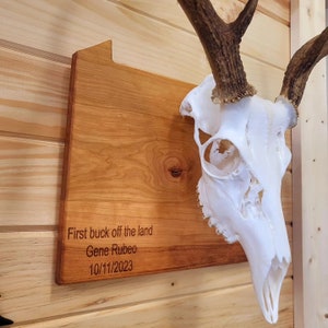 European Skull State Plaque Personalized year/date Hardwood European Plaques Wall Hanger Trophy Deer Hunting image 2