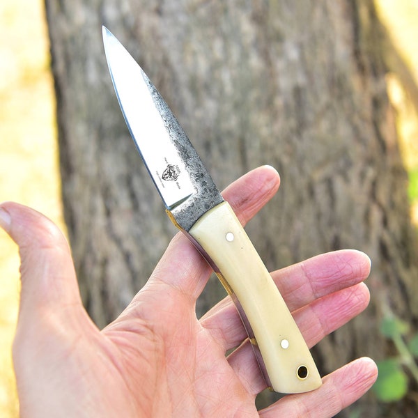 Custom Handmade 1095 High Carbon Steel Skinner Hunting Knife Amazing Gift Camel Bone Handle EDC