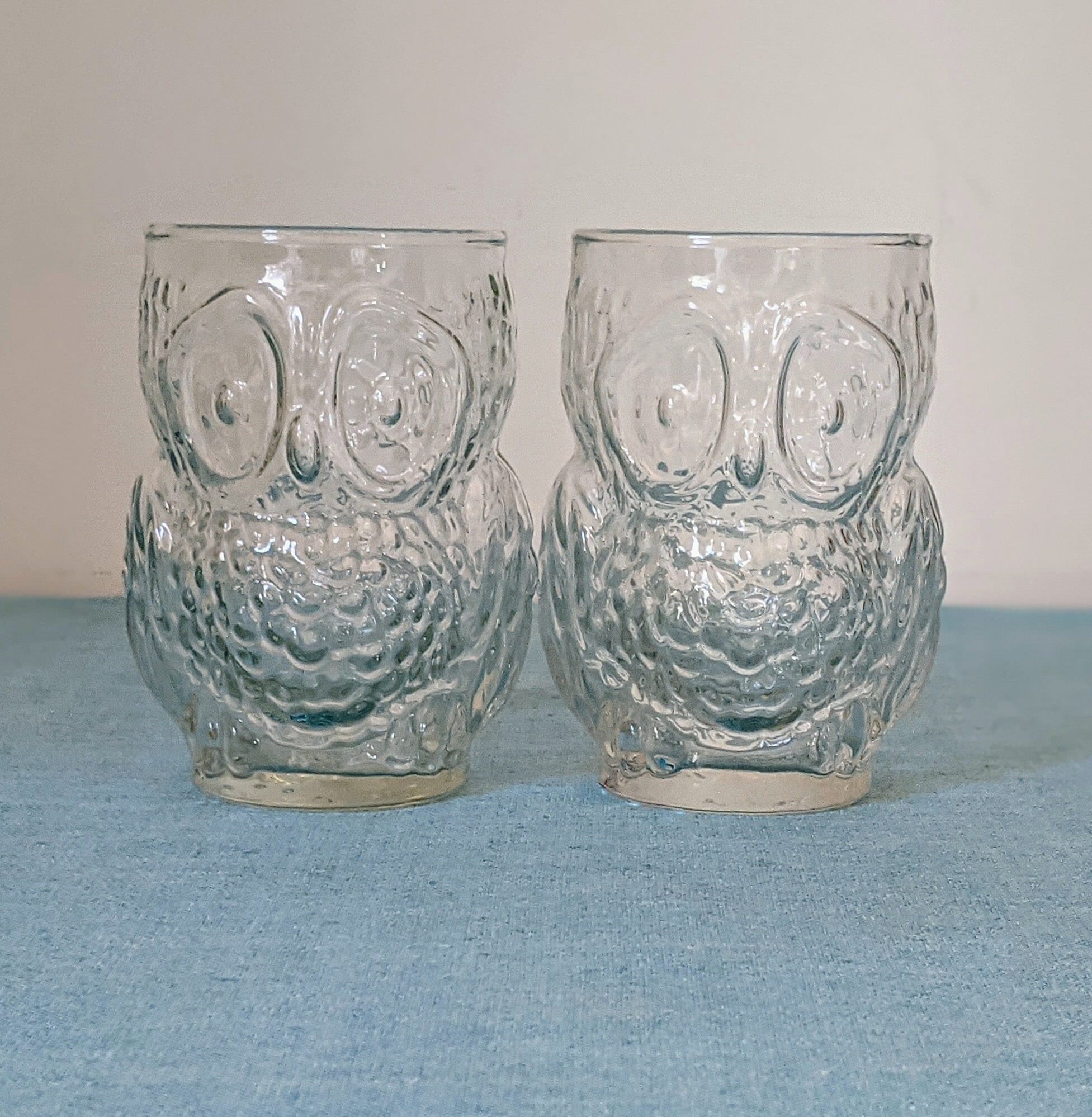 ALAMHI Owl Glass Cups Cute Mugs, Vintage Glassware sets of 2 Drinking  Glasses, Can Shaped Glass Cups…See more ALAMHI Owl Glass Cups Cute Mugs,  Vintage