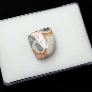 May include: A polished, irregularly shaped stone with a mix of colors, including gray, white, orange, and red, displayed in a clear plastic case with a white foam insert. The stone's surface has a banded pattern.