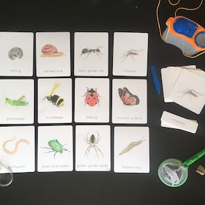 Schede Minibeast Nature / Charlotte Mason Homeschool / Schede stampabili Minibeast in 3 parti / DOWNLOAD IMMEDIATO