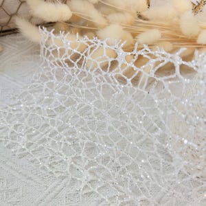 May include: White sparkly mesh fabric with a delicate, intricate pattern. The fabric has a subtle shimmer and is perfect for adding a touch of elegance to any project.